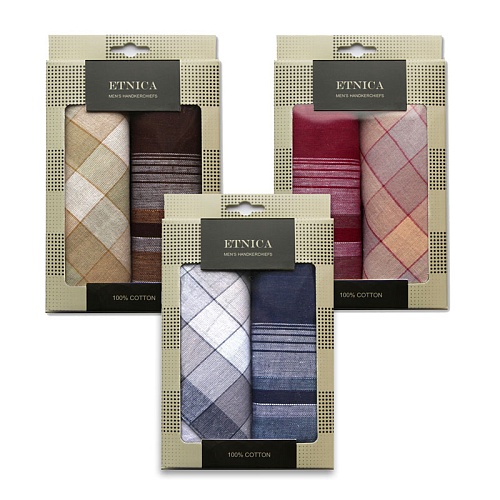 Подарочный набор мужских носовых платков "ETNICA" Пд67 (2шт)