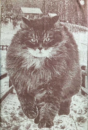 Полотенце махровое С81-ЮА (6861, Сибирский кот, бежевый)